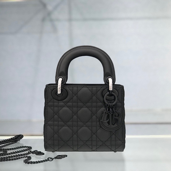 디올 LADY DIOR 미니백 M0505SLOI