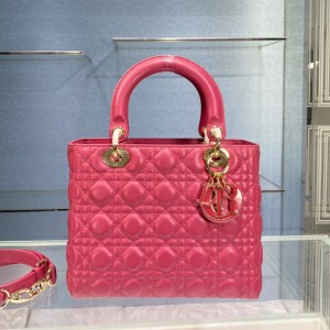 디올 LADY DIOR 미디엄백 M0565OCEA