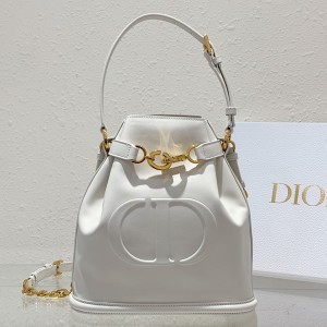 디올 C'EST DIOR 미디엄 백 M2271UBHA